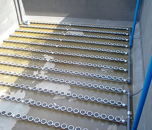 photo49